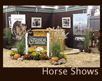 Horse Show Photos