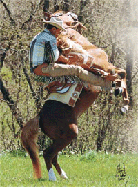 Jody Strand in Unbridled - Training DVD